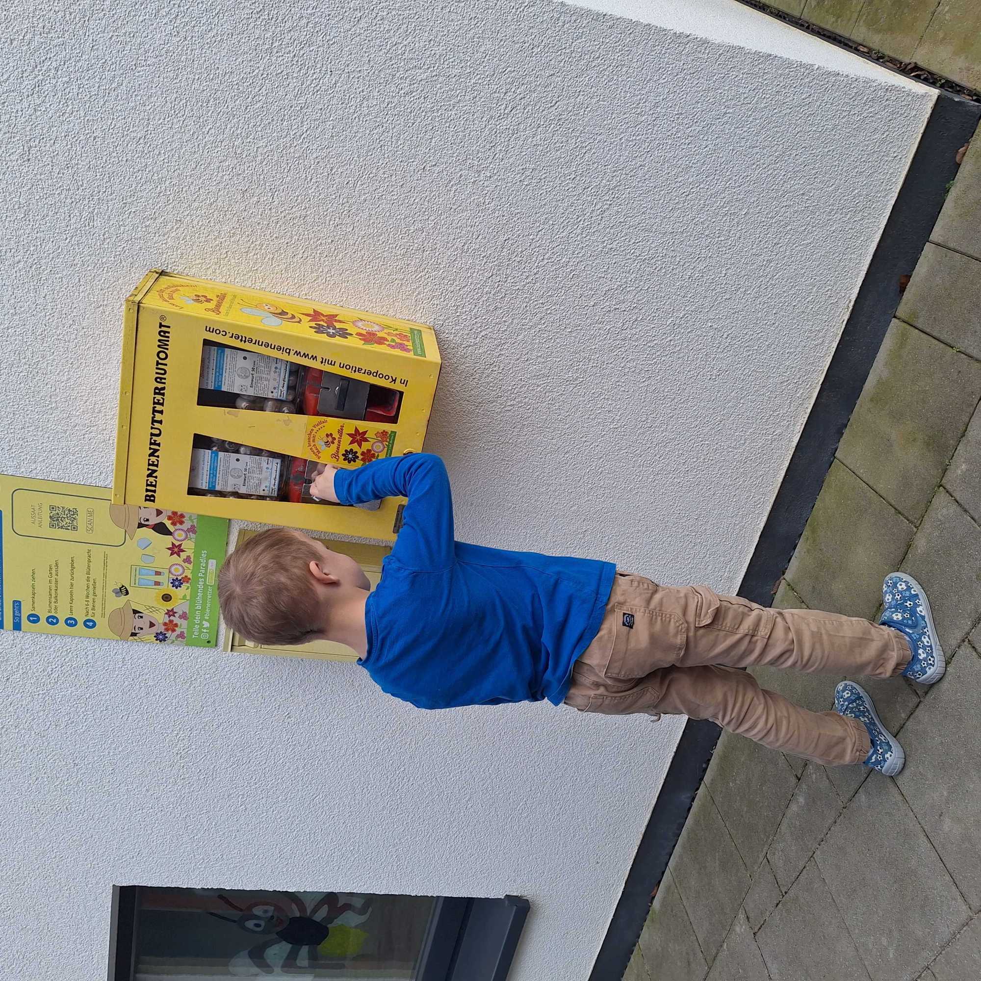 Bienen und ihr Futterautomat erwachen aus der Winterruhe